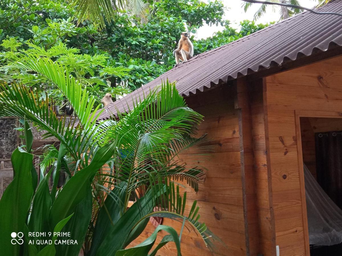 Magic World Hotel Palolem Buitenkant foto