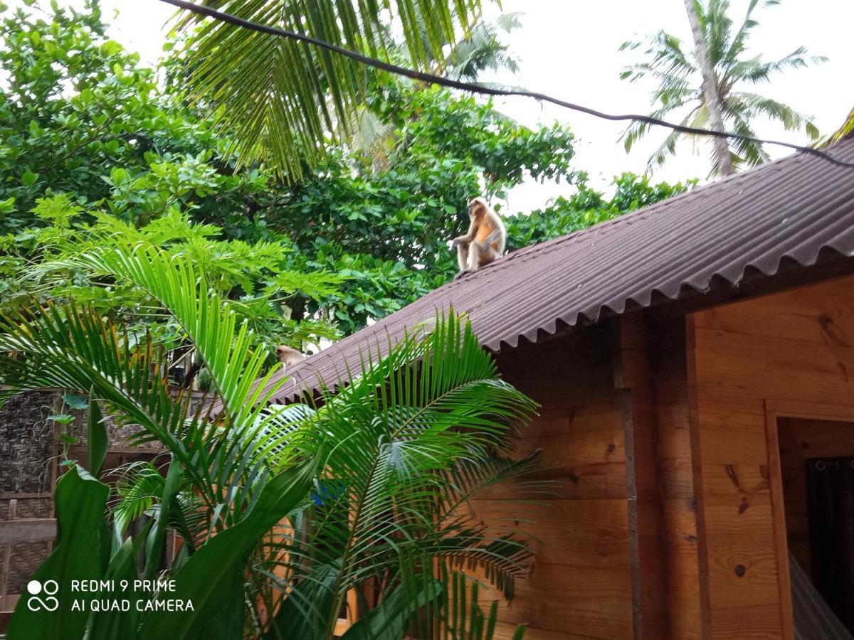 Magic World Hotel Palolem Buitenkant foto